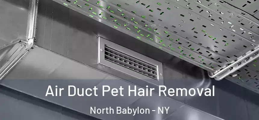  Air Duct Pet Hair Removal North Babylon - NY