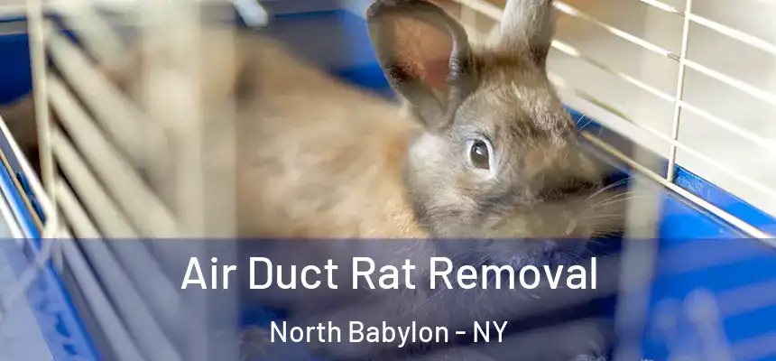 Air Duct Rat Removal North Babylon - NY