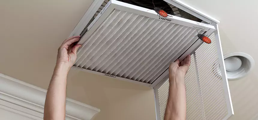 Our Insect Removal from Air Ducts Services in North Babylon, NY