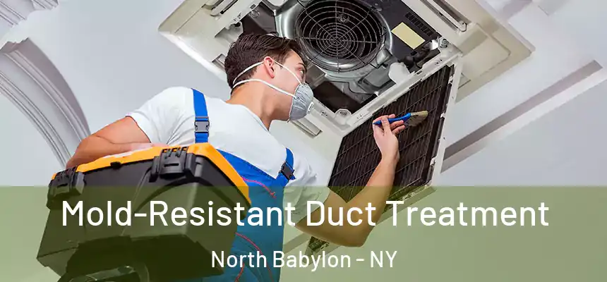  Mold-Resistant Duct Treatment North Babylon - NY