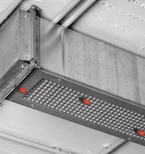 About Air Duct Cockroach Removal in North Babylon, NY