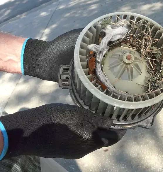 About Air Duct Mice Removal in North Babylon, NY