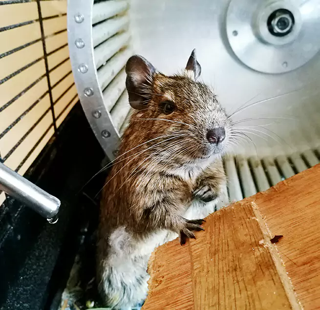 Why Homeowners & Businesses Trust Us North Babylon, NY?