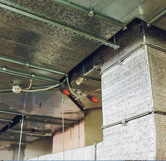 Why Homeowners & Businesses Trust Us North Babylon, NY?